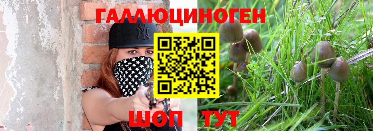 Псилоцибиновые грибы мицелий  Вход с VPN  Елабуга 